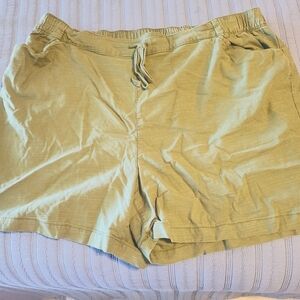 Lane Bryant Army Green Cotton Shorts Size 22/24